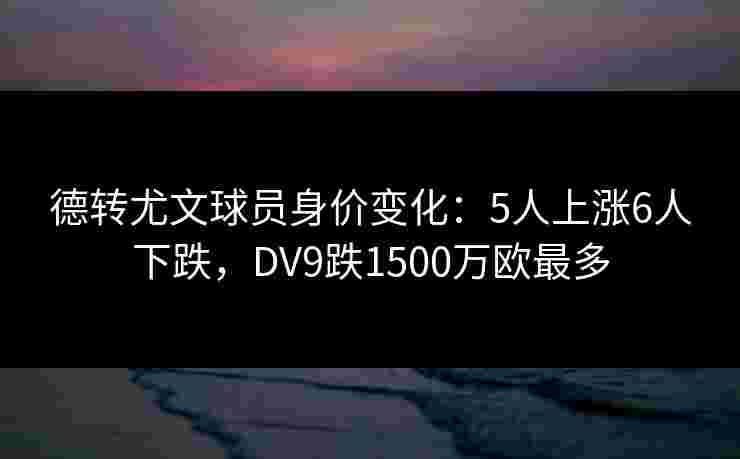 德转尤文球员身价变化：5人上涨6人下跌，DV9跌1500万欧最多